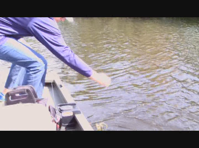 Go Fish with Dan Kenney - Charles River Charters