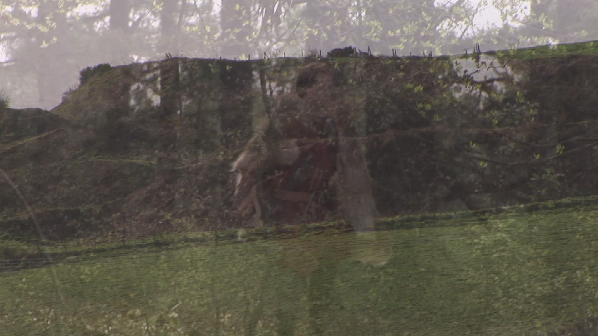 Ancient History - Ancient Britain