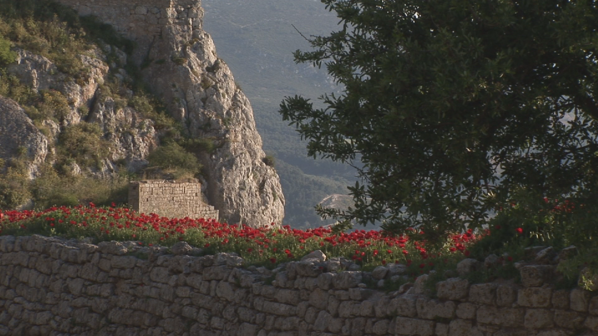 Ancient History - Greek Accomplishments