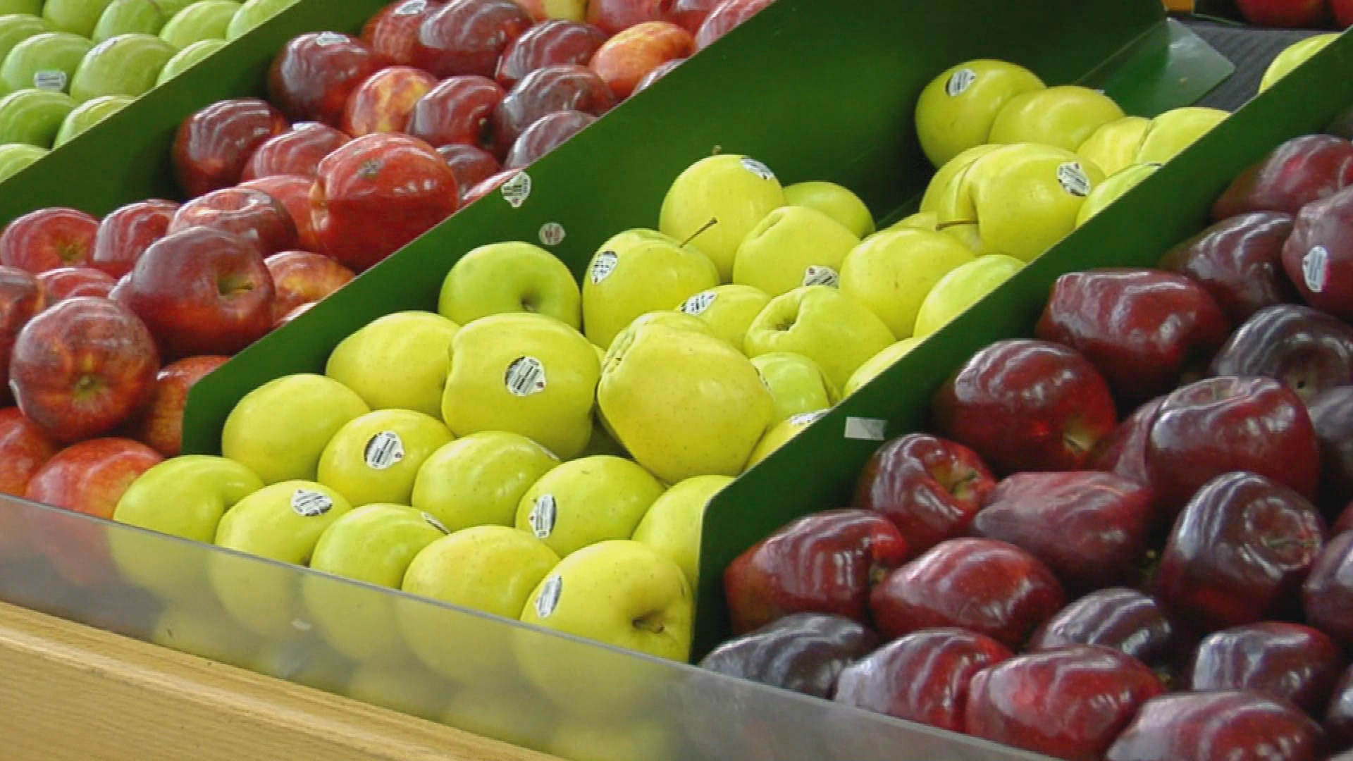 Food & Agricultural Science: History of Early Food and Agricultural Science