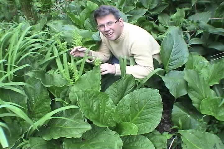 Expedition Earth: Birth Of A River