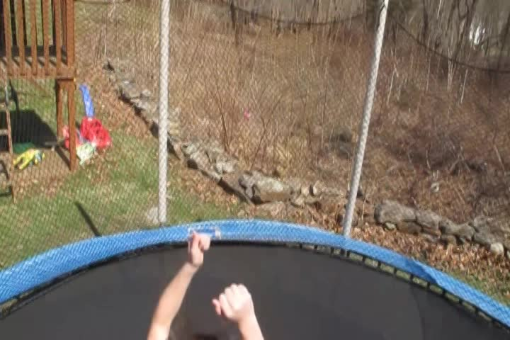 Thumbnail image for Expedition Earth: Dolphin Strandings in Cape Cod