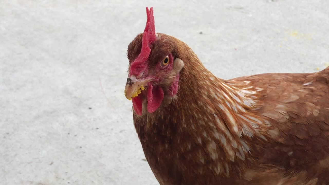 Thumbnail image for Cookin with Kids: National Parks