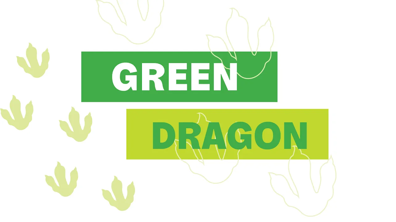 Green Dragon: Managing Your Energy Use
